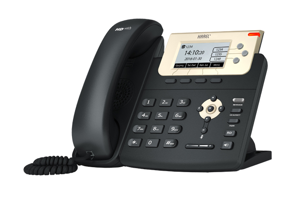 IP1131 IP Telefon